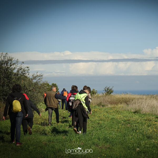 Evoexperience in uliveto