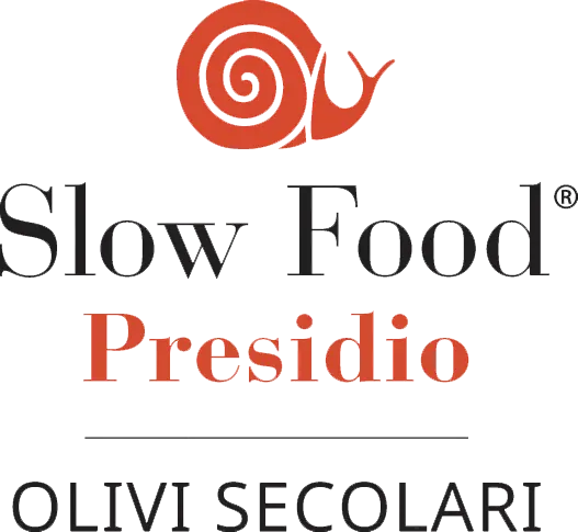 Slow Food Presidio Olivi Secolari 2026